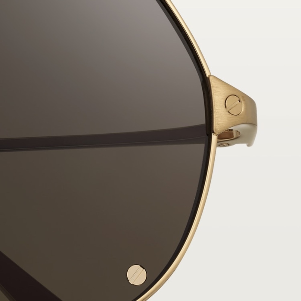 SANTOS DE CARTIER SUNGLASSES - Picture 8 of 16